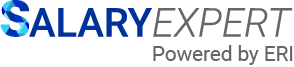 Cyber Security Analyst Salary South Africa - SalaryExpert